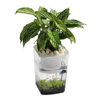 

Mini Fish Tank Fish Vegetables Symbiotic Water Grass Ultra-White Desktop Ecological Plastic Convenient Fish Tank Grows Plants