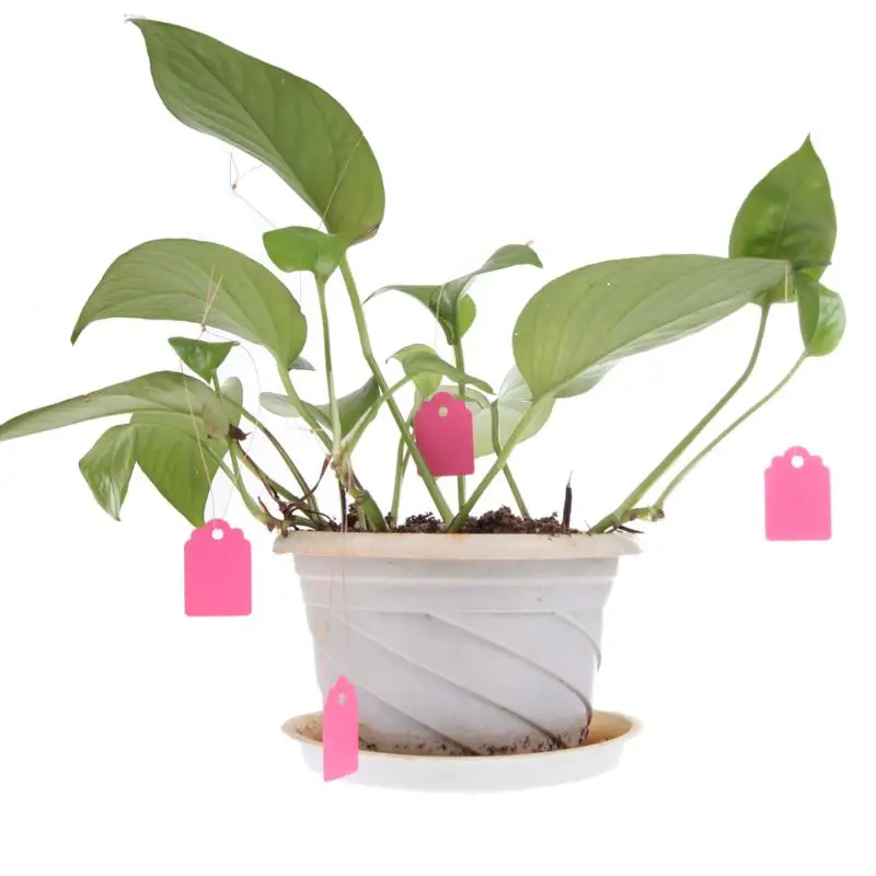 

100Pcs Plant tags T-type Plastic Nursery Garden Plant Label Flower Tag Mark E5M1