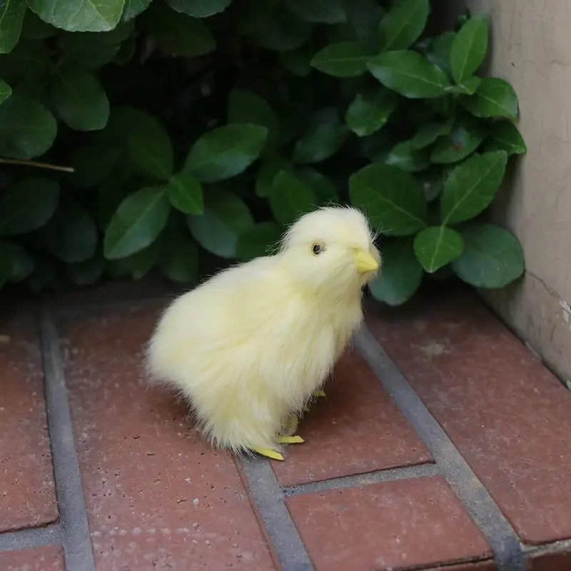  Simulated Vocal Chick Plush Toy Animal Doll Children's Teaching Static Model - 33001815042