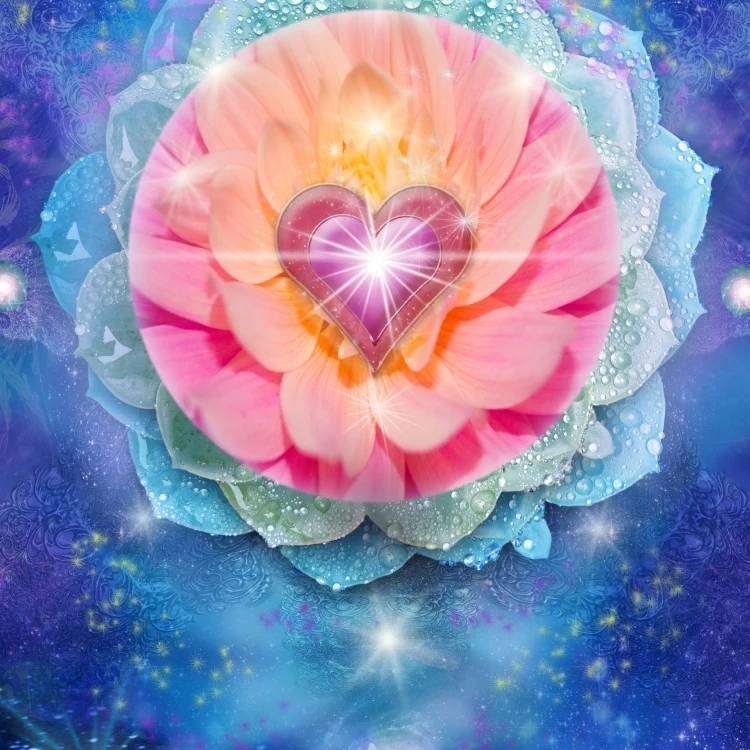 lotus heart (Variant 1) Poster Print by Alixandra Mullins (24 x 32)in