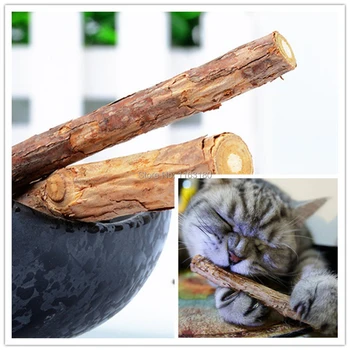 

30pcs/lot Cat Cleaning Teeth Toy Pure Natural Catnip Snacks Pet Cat Molar Toothpaste Stick Natural Toys for cats