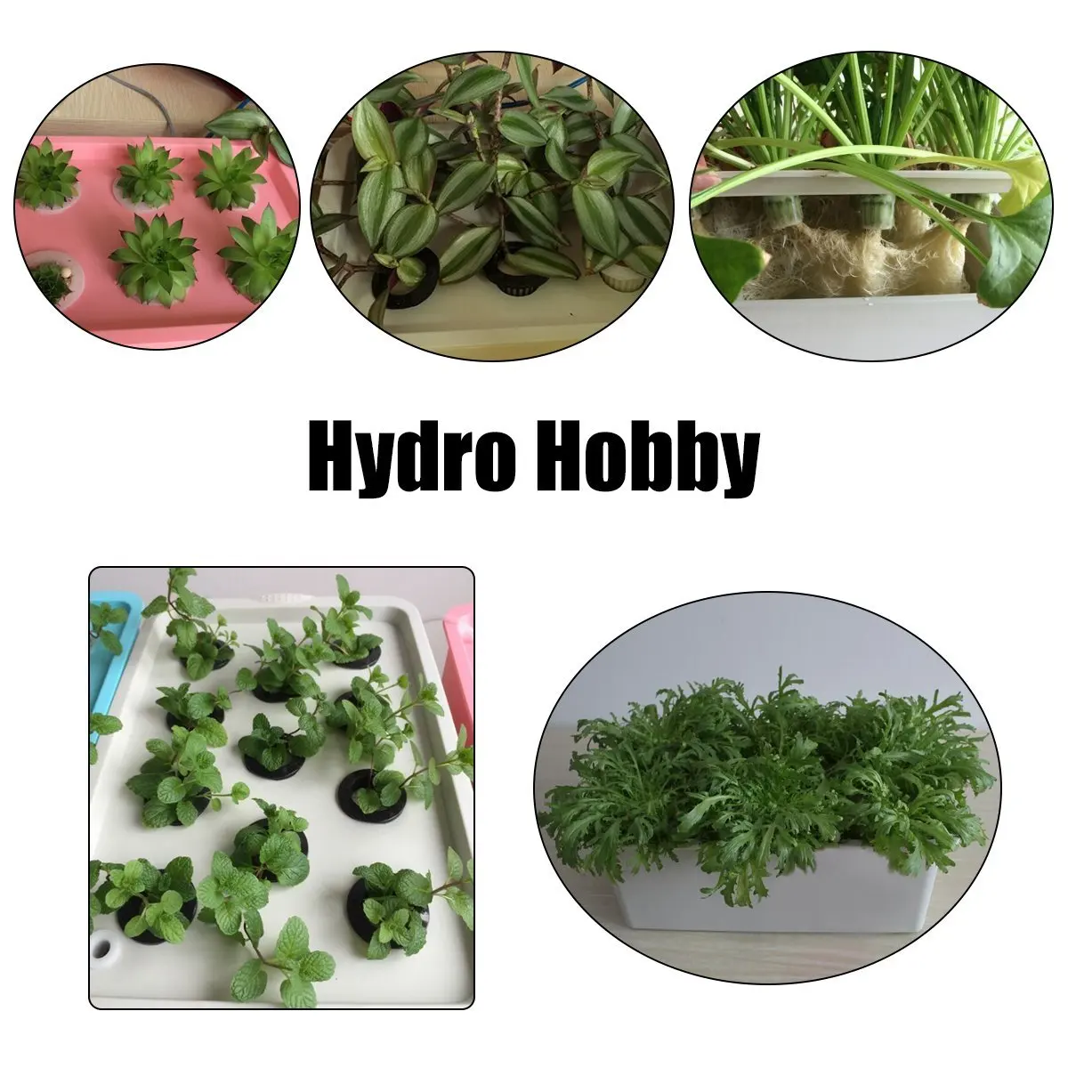 12 Holes Plant Site Hydroponic Garden Pots Planters System Indoor Garden Cabinet Box Grow Kit Bubble Nursery Pots