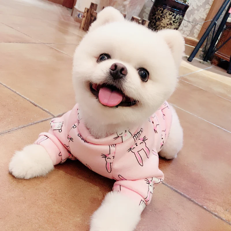 Pomeranian dog clothes xs Cartoon print pink blue clothes for dogs winter Pomeranian dog clothes coat abbigliamento per cani Pomeranian dog clothes xs Cartoon print pink blue clothes for dogs winter Pomeranian dog clothes coat abbigliamento per cani