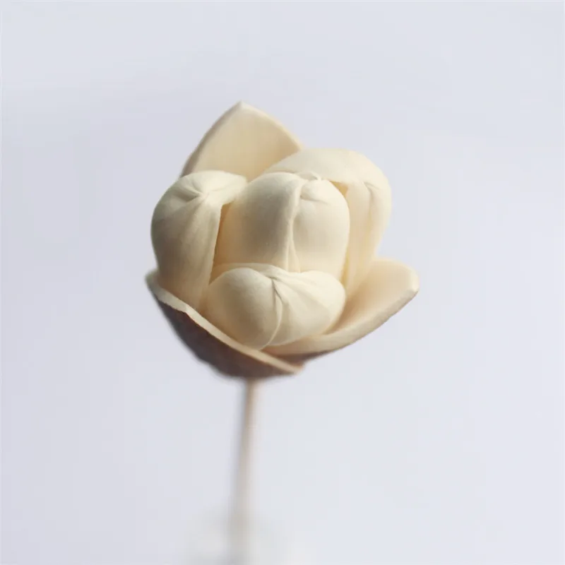 Lychee Life дикая Лилия Цветок аромат диффузор Замена заправка палочка для дома