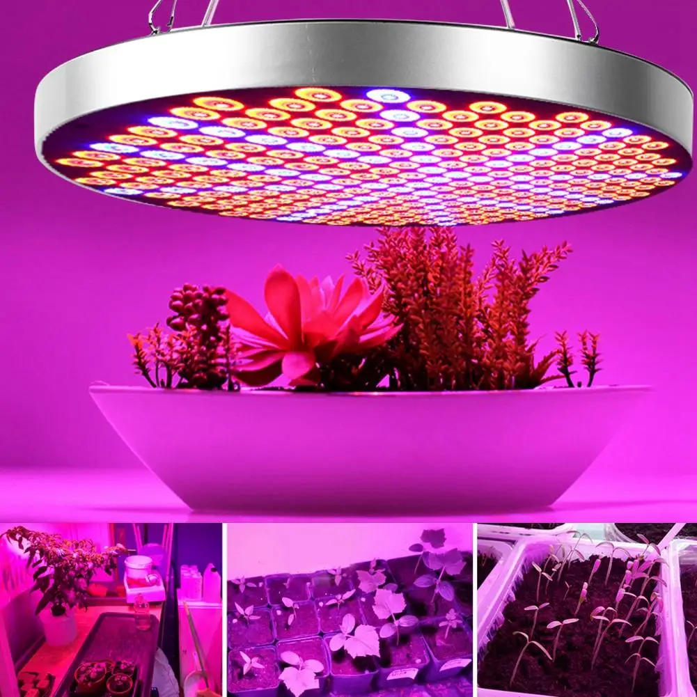 85 265V 50W LED растущий свет для комнатных растений полный спектр круглый