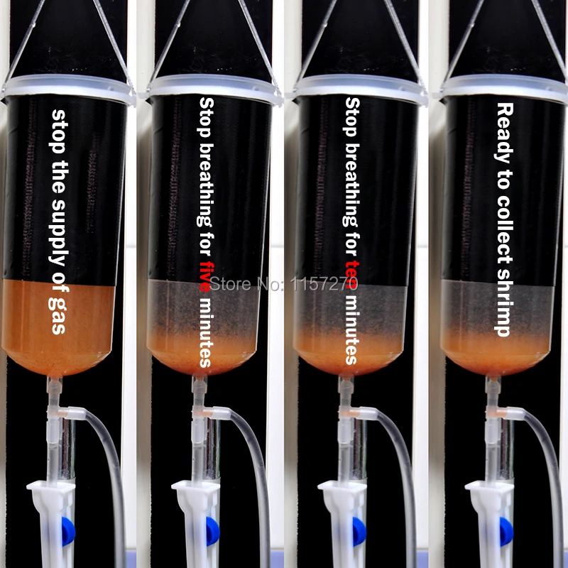 Fairy Shrimp Egg Artemia Alive Easy Hatch Tool Baby Brine Shrimp Small Baby Fish Food Fresh Aquarium Fish Aquatic Supplies Parts Aliexpress