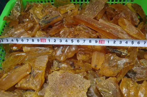 Натуральные насекомые янтарные копальные минеральные образцы оптом 100 г