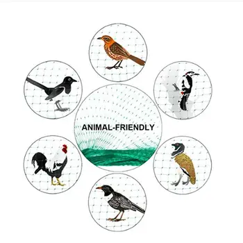 

Anti Bird Net Garden Orchard Polyethylene Anti Bird Net #30