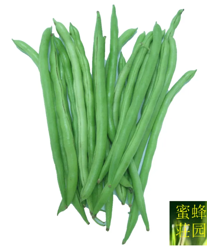

four seasons beans lentils bonsai 10pcs