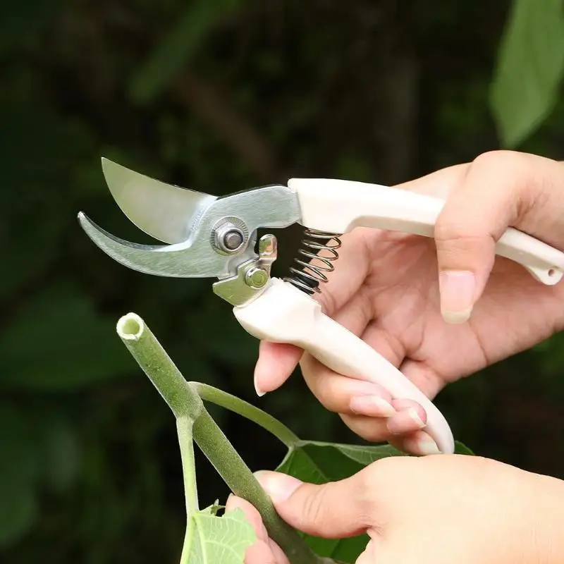 

185 mm/7.28" Non Slip Fruit Tree Pruning Shears Bonsai Pruners Secateurs Garden Scissors Branch Cutter Fruit Pruning Tool