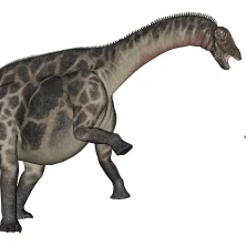 Brachiosaurus Dicraeosaurus Diplodocus and Spinophorosaurus Poster Print (60 x 13) | Дом и сад