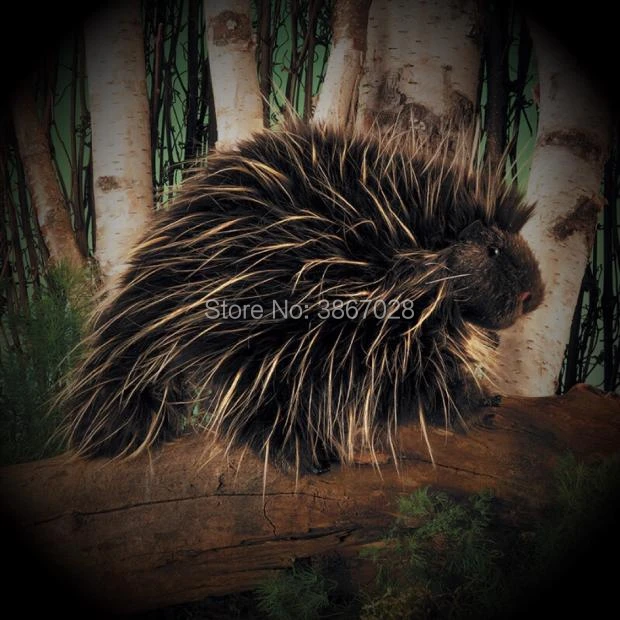 porcupine puppet