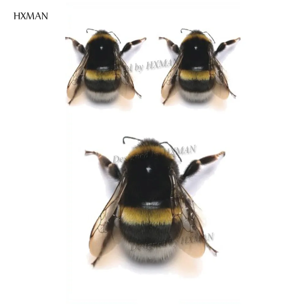 Временная тату наклейка HXMAN 12 шт./лот с пчелами животными для женщин боди арта