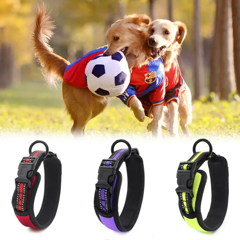 Pet Fewels прочный нейлон собака сплошной цвет ошейник поводки для домашних животных