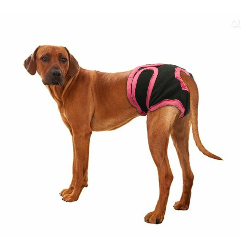 Pet Dog физиологические штаны памперсы нижнее белье для женщин собака