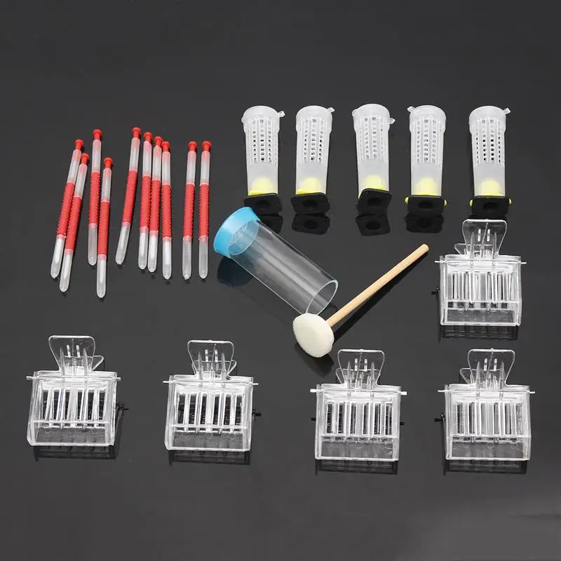

Beekeeping Tools Kits Moving Grafting Shift Needle Bee Clips Hive Queen Larva Rearing Feeding Equipment Apiculture Supplier