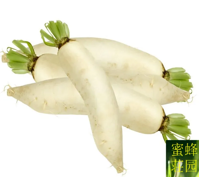 

Hot radish bonsai white radish balcony planted about 100pcs of carber bonsais