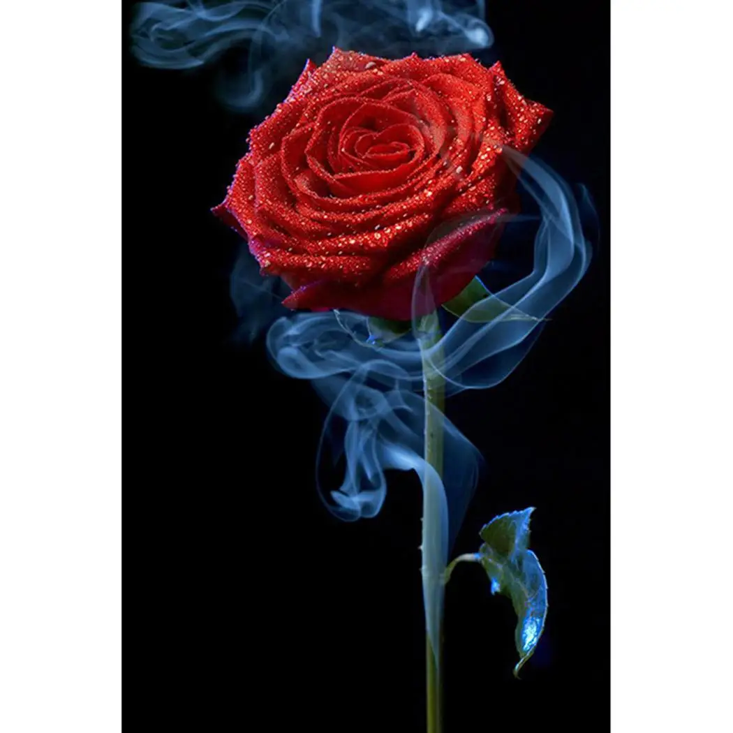 

Rose Flower Pattern DIY 5D Diamond Painting Without Frame Accessories Home Wall Art Dcor Home, Bedroom, etc