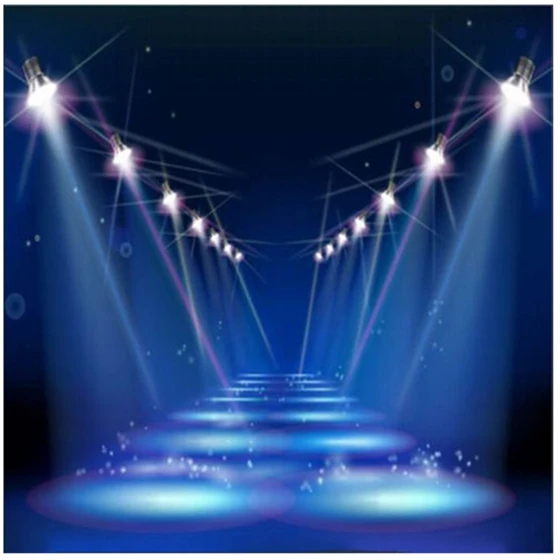 

Stage Thin Vinyl Studio Backdrop Photography Photo Background 10x10ft