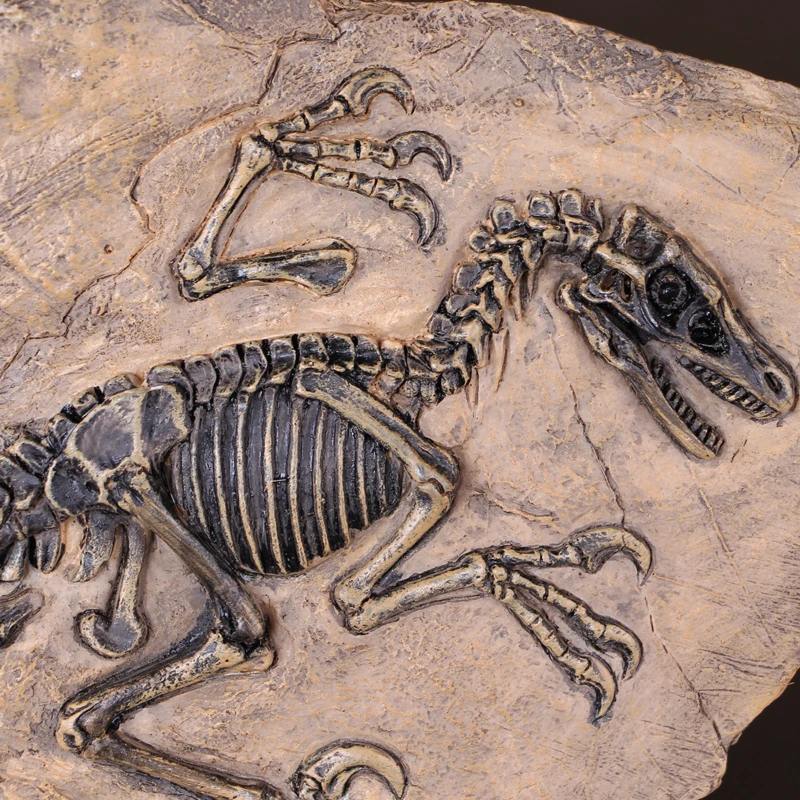 Yassfen динозавр Юрского периода Оригинальный резной камень Plesiosaur Велоцираптор