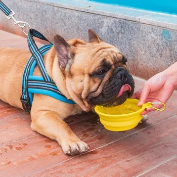 

Go Out With One Portable Fold Silica Gel Bowl Water Bowl Tableware Pets Articles I Am One Only Small Method Bucket