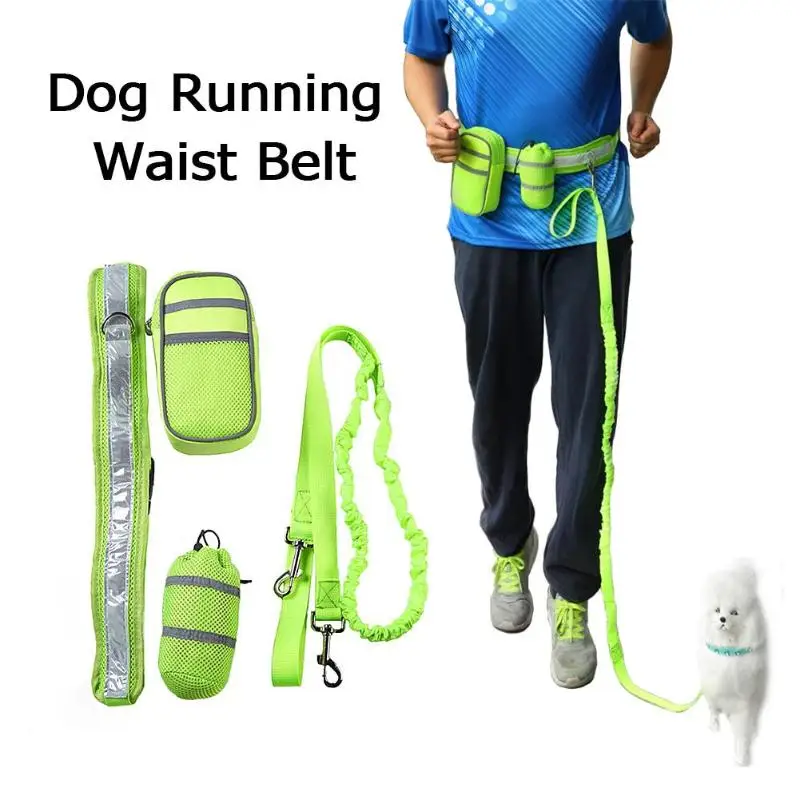 

Hands Pet Dog Cat Running Jogging Padded Waist Belt Reflective Strip Elastic Leash Perfect Walking Training Dog Leash Set