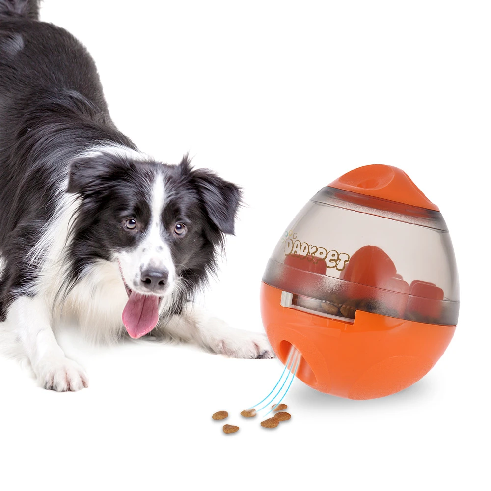 foraging balls for dogs