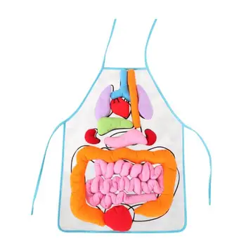 

Body Internal Organs Teaching Toys Kit 3D Organs Apron Montessori Early Education Toys for Kids