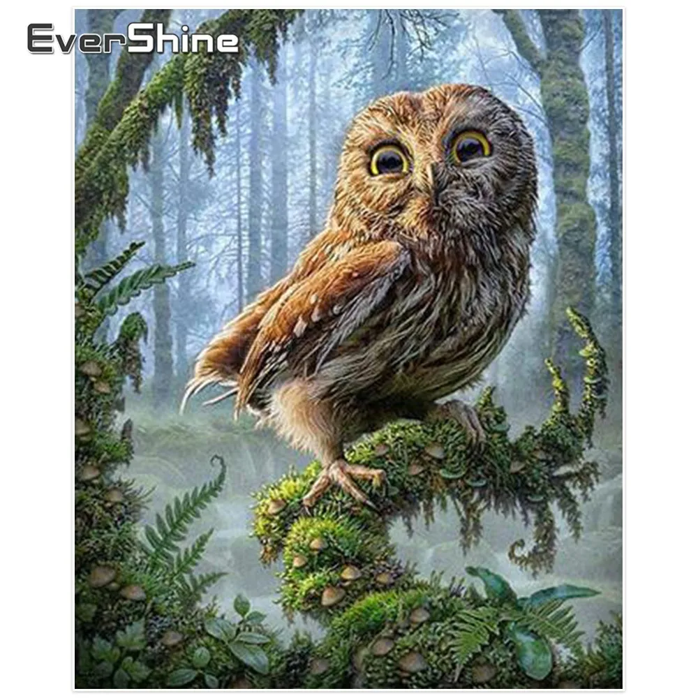 EverShine 5D DIY Алмазная Мозаика Сова Ручной Работы Алмаз Живопись Животных Вышивка