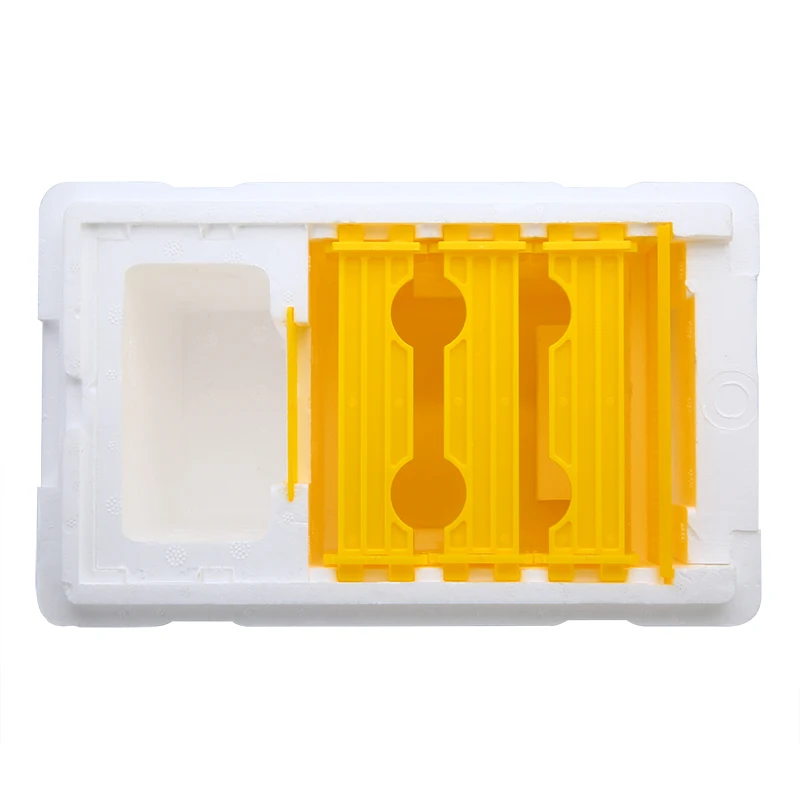 Foam + Plastic Beekeeping Tool Box Auto Honey Beehive Frames Beekeeping Kit Harvest Bee Hive King Pollination Box
