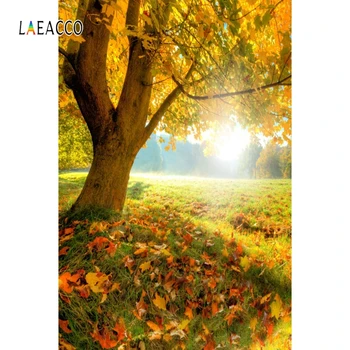 

Laeacco Autumn Park Tree Fallen Leaves Bench Portrait Photography Backgrounds Customized Photographic Backdrops For Photo Studio
