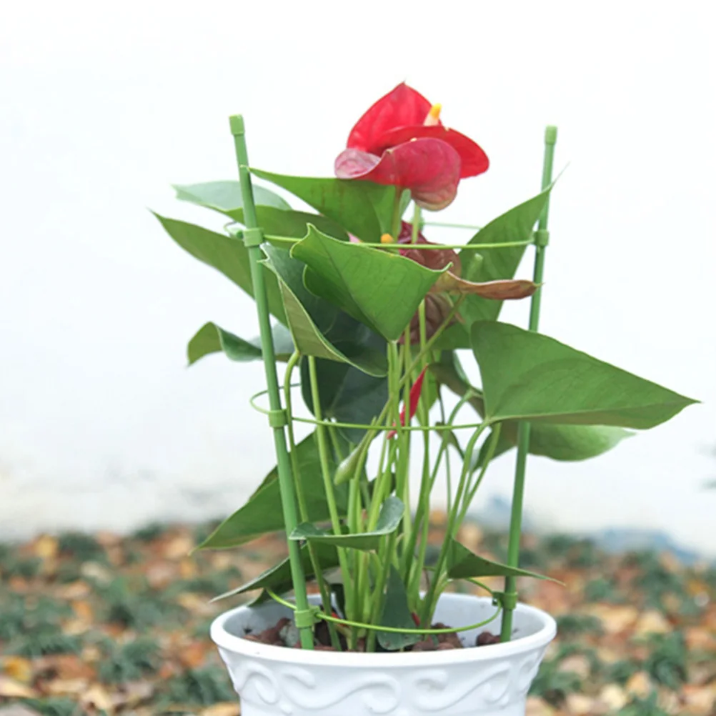 

2pcs Garden Trellis Climbing Plants Support Cage Stand For Pepper Eggplant Tomato Flowers - 45CM