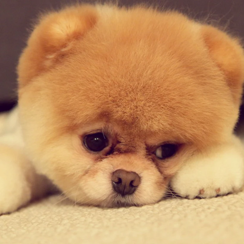 Глобальный 2 размер sku продукт |