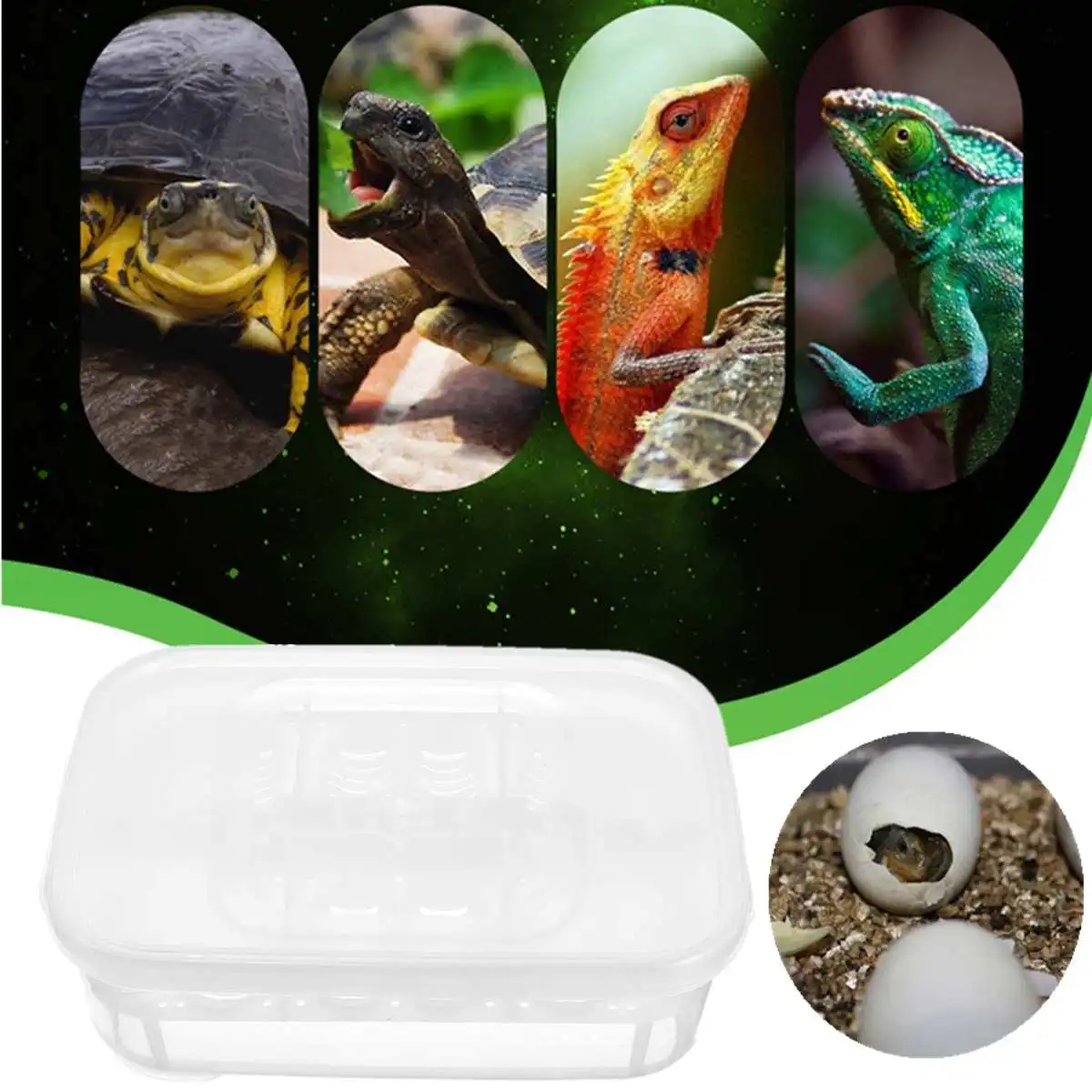 

12 Grid Reptile Eggs Incubator Tray Lizard Gecko Snake Bird Egg Hatcher Box Case Easter Incubation Lizard Turtle Chicken