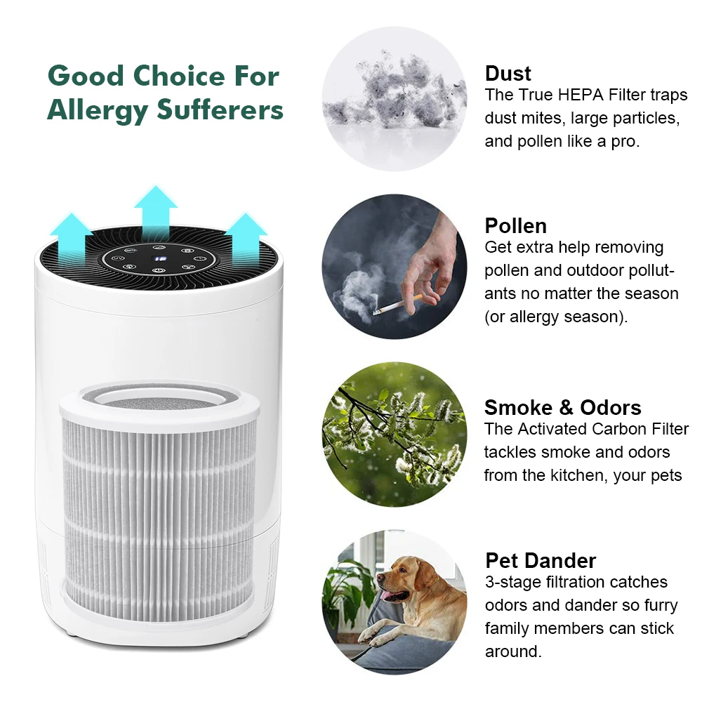  AUGIENB Desk Air Purifier True HEPA Filter Air Cleaner Smoke Dust Odor PM2.5 Eliminator for Allergi