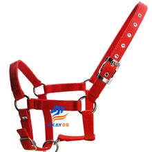 Лошадь Холтер, 6 мм толстый PP лямки лошадь Холтер, NP фитинги.(BLT2001