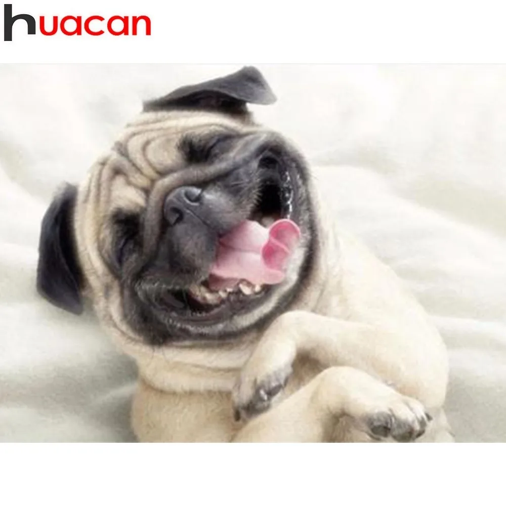 

HUACAN 5D DIY Full Square Diamond Painting Animal Rhinestone Mosaic Diamond Embroidery Cute Dog Cross Stitch Home Decor Gift