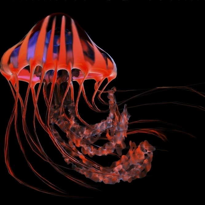 A brightly colored jellyfish illustration Poster Print (17 x 11) | Дом и сад