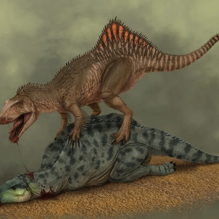 A Concavenator kills a young iguanodon dinosaur Poster Print (16 x 11) | Дом и сад