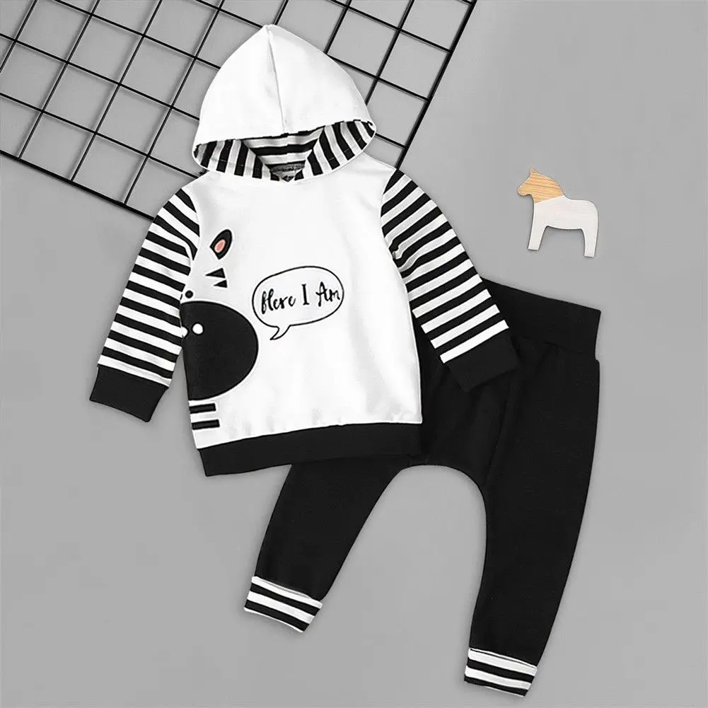 

0-24M Newborn Baby Boy Girl Long Sleeve Hooded Tops Harem Pant 2PCS Outfits Tracksuit Autumn Clothes Set