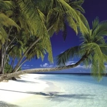 Maldives пляжный плакат Принт (36x24) | Дом и сад