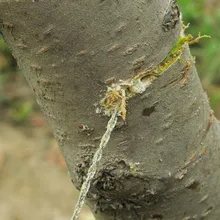 55 см 25 г проволока из нержавеющей стали пила кремень cut kit camp hike свиток Открытый выживания инструмент для серебра снаряжение для охоты аварийный путешествия