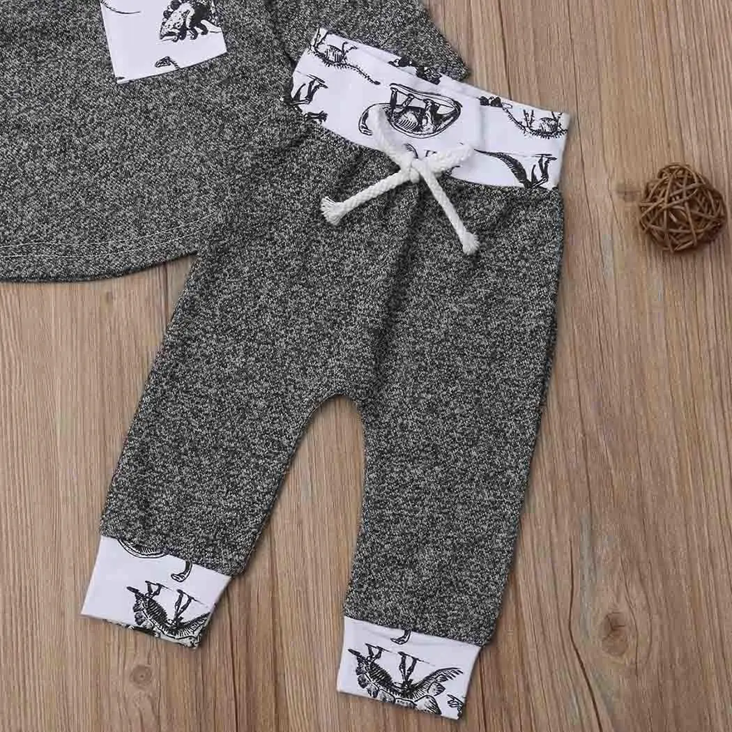 Baby Girls Boys Cute Cartoon Hooded Tops and Long Pants Patchwork All Seasons Outfits Everyday, Holiday Set