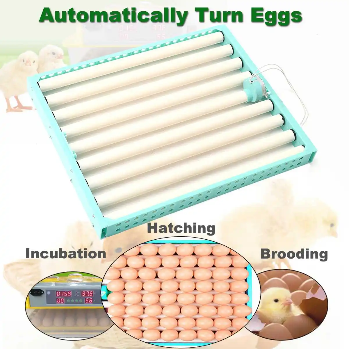 

NEW 1 Set 360 Degree Chicken Eggs Turner Automatic Incubator Duck Quail Bird Poultry Eggs Tray Farm Incubation Tools Supplies