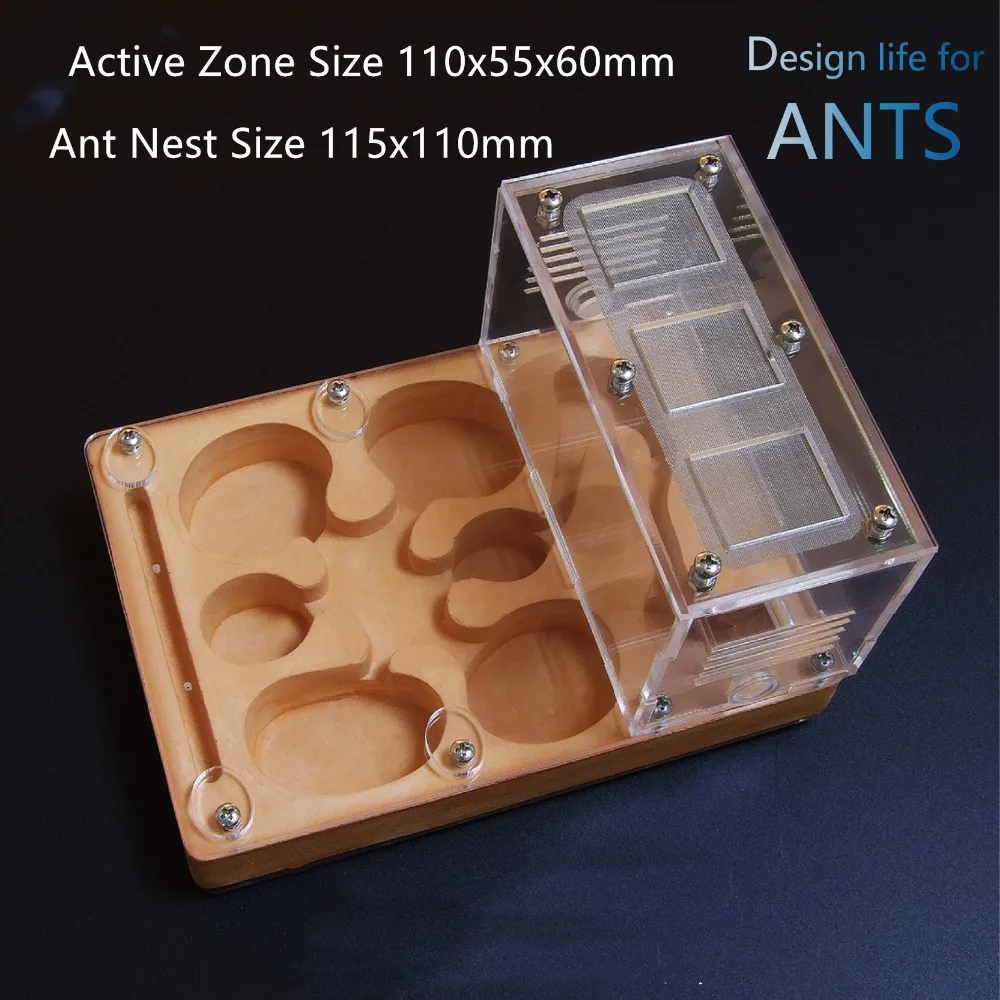 

Anthill Ant House New Ant Flat Nest Plasterboard Ant Farms Acrylic Display Box with Plaster Small Pet Kids Educational DIY Toy