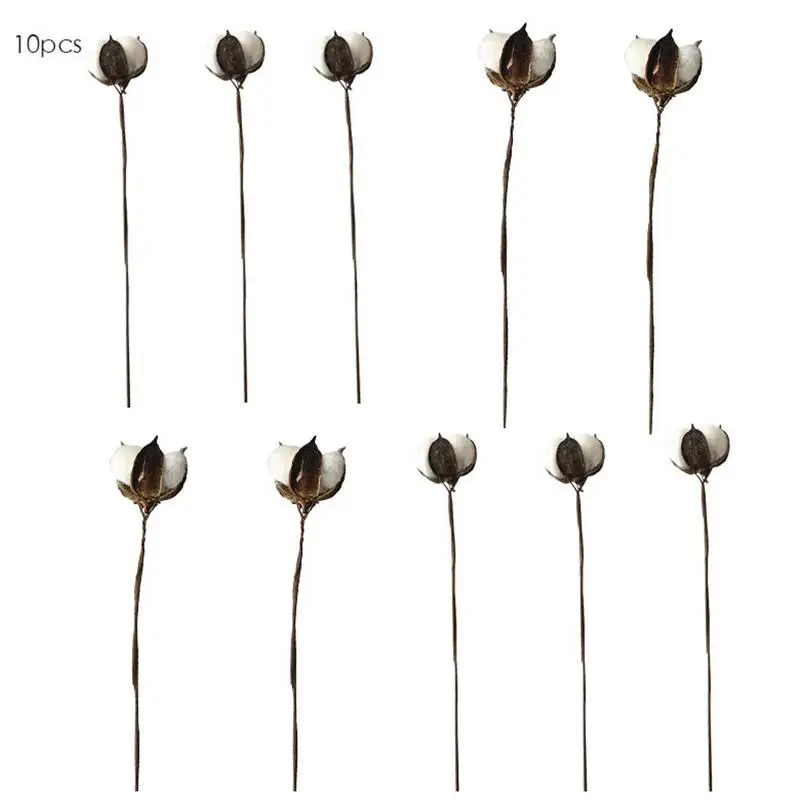 

10pcs/set Dry Flower Cotton Branch Single Simulation Cotton Twig Home Decoration DIY Wreath Accessories Artificial Flowers