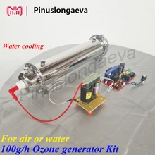 Pinuslongaeva 100 Гц/ч 100 грамм Регулируемая кварцевая трубка типа генератора озона комплект стерилизации сточных вод 100 тонн дезинфекции воды