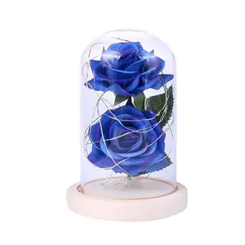 

Imitation Rose with Glass Cover LED Light String Night 1 light Home Home, Bedroom 359g Decoration