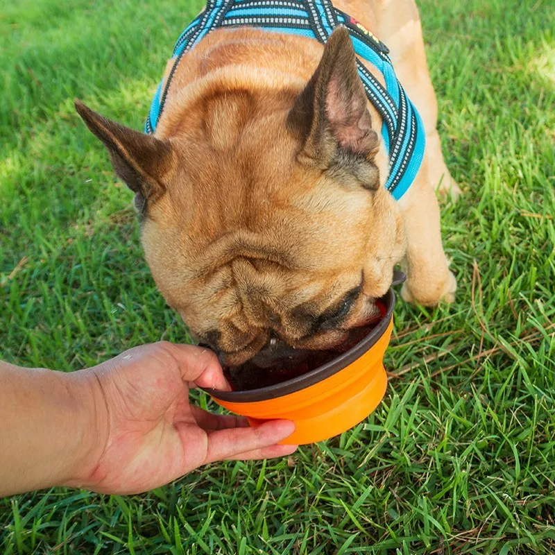 Recommend Pets Fold Bowl Portable Water Dog Food Basin Tableware Articles Go I Am One Only Small Method Bucket | Дом и сад