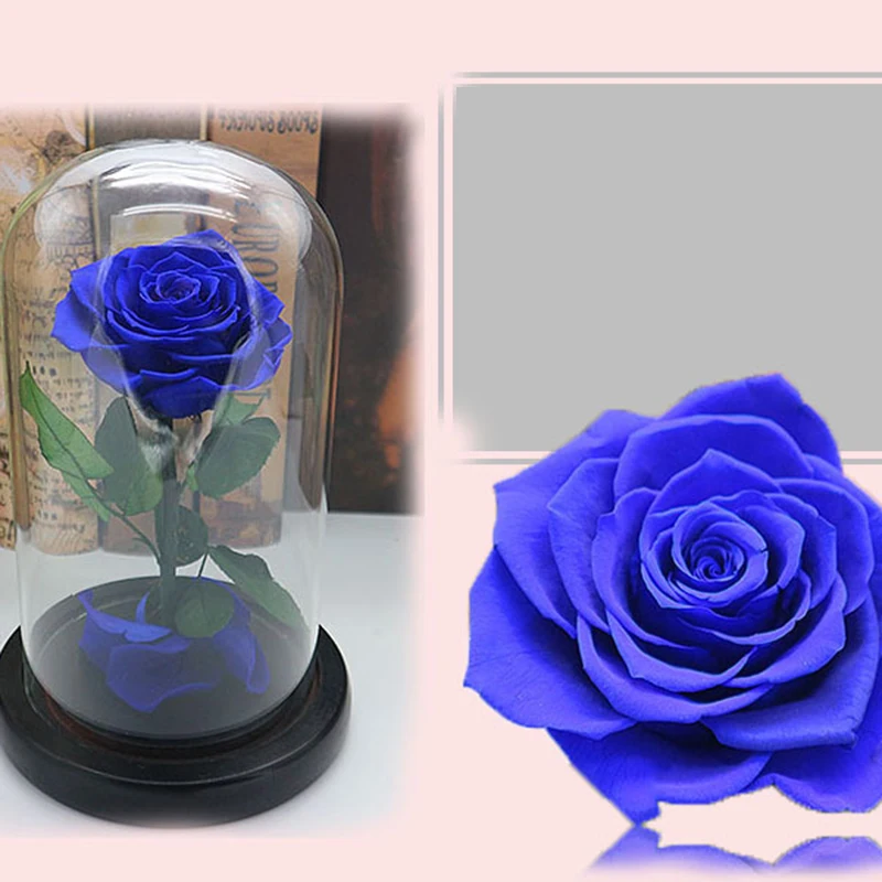 Billig Glas Abdeckung Frisch Erhaltenen Rose Blume Barbed Rose Flores Für Hochzeit Ehe Home Party Dekoration Valentinstag Geschenk Blu